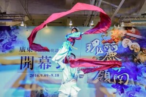 兩岸非遺文化活動 木偶戲表演