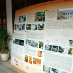 tw_event_date_caty01437534345_storydpid_51_album_3