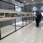 tw_event_date_caty01462757669_storydpid_67_album_1