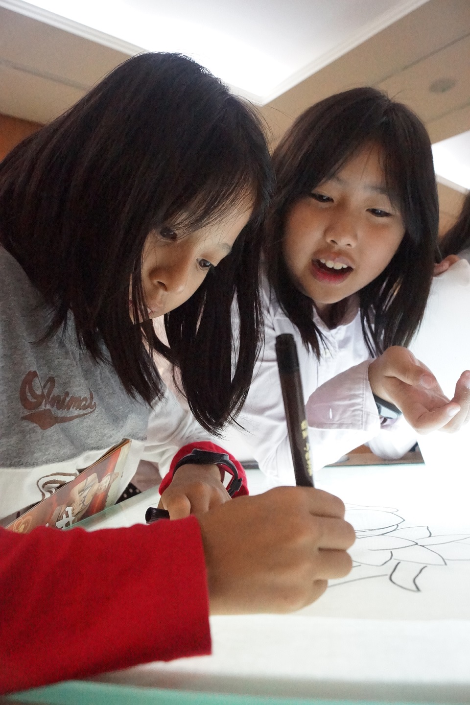 tw_event_date_caty01482912025_storydpid_70_album_3