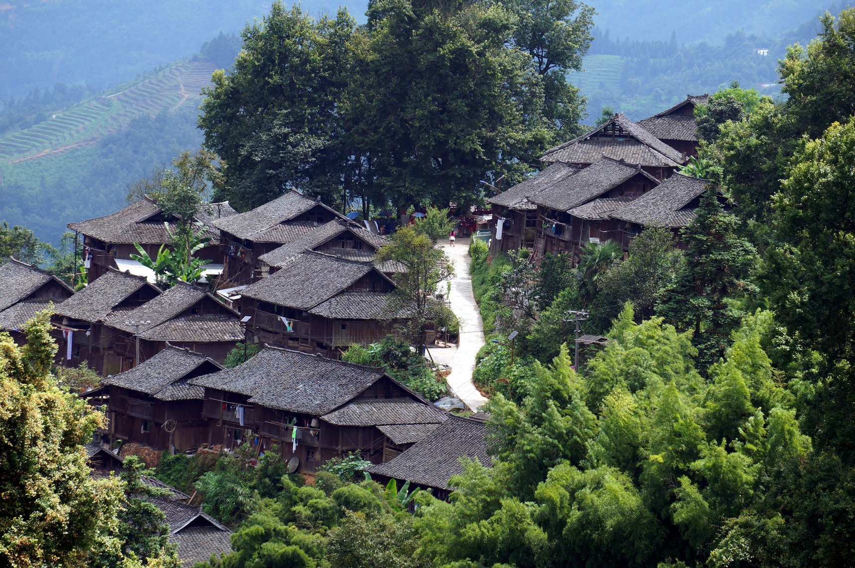 tw_event_date_caty01484720935_storydpid_75_album_2